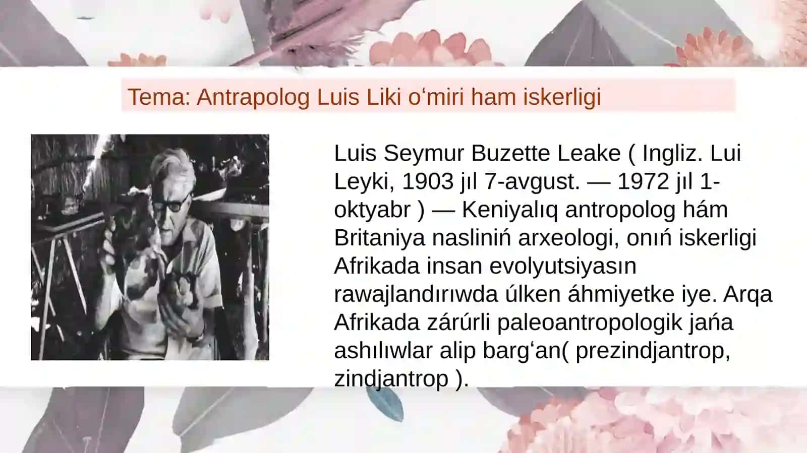 Antrapolog Luis Likioʻmirihamiskerligi 2