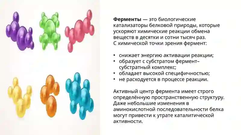Наследственные ферментопатии 2