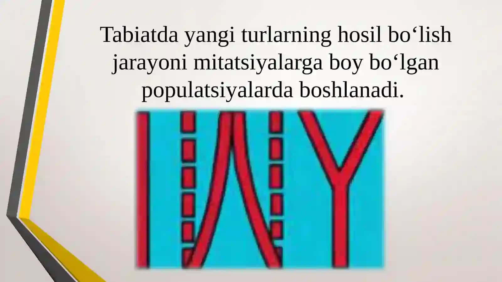 Turlarning paydo bo`lishi 2