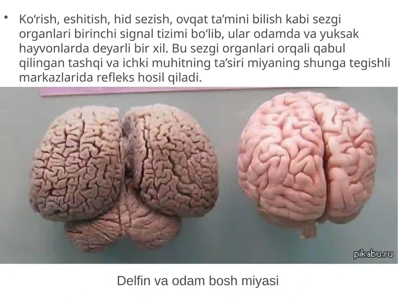 Odam va uning salomatligi 2