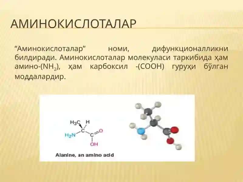 Аминокислоталар ва оқсиллар 2