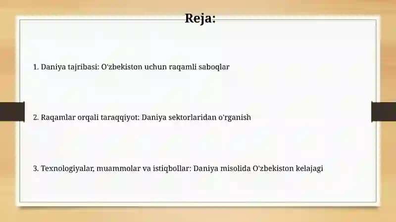 Daniya tajribasi: O'zbekiston uchun raqamli saboqlar 2