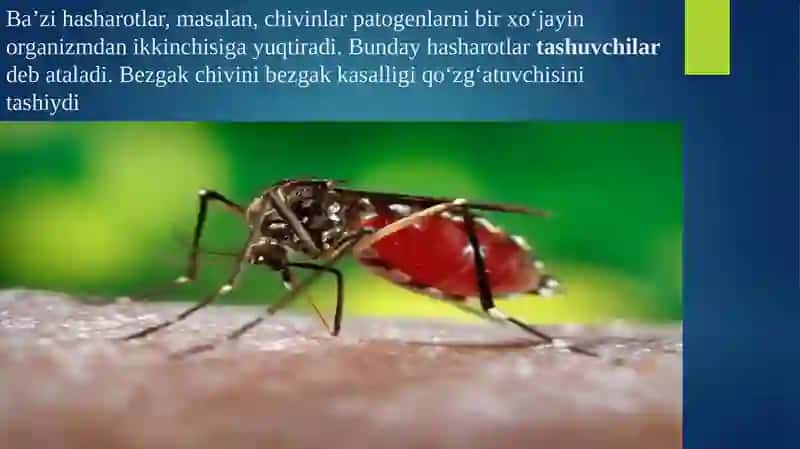 Bezgak (malarіya) kasalligi ta'qalishi 2