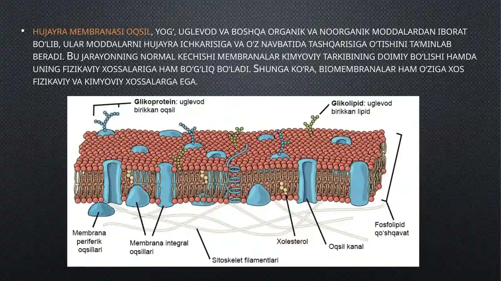 Biologik mebranalar xossalari 2
