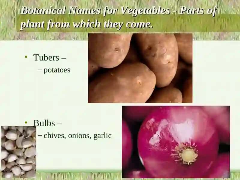 Classification of Vegetables 2
