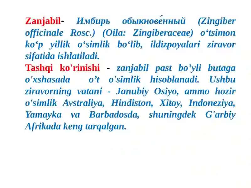 Занжабил 2