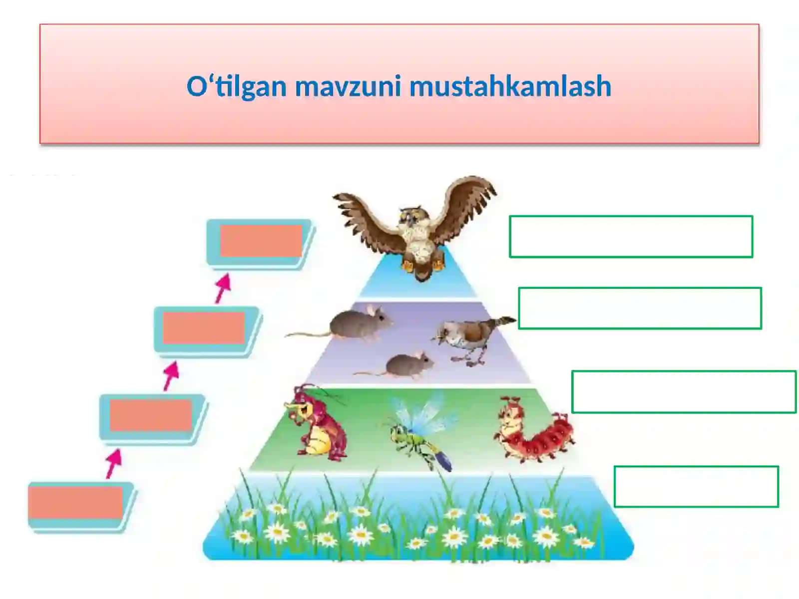 TOZA ICHIMLIK SUVINI OLISH 2