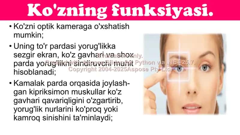 Ko'zning funksiyasi 2