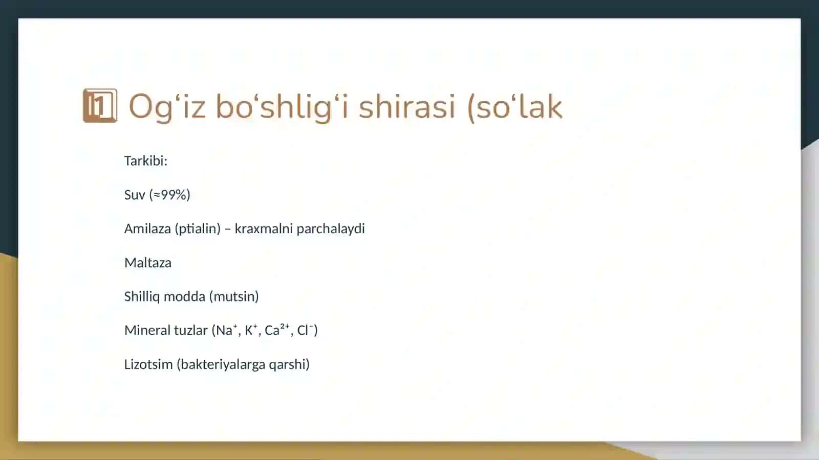 Hazm kanalıdagı shıralar 2
