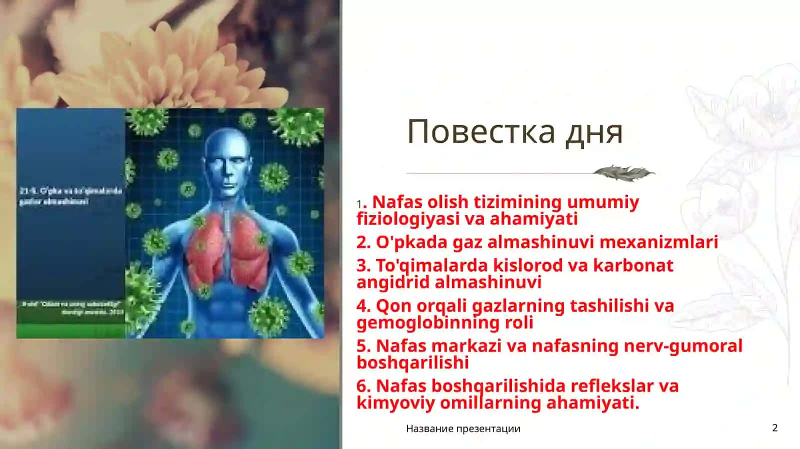 Normalfiziologiya 2
