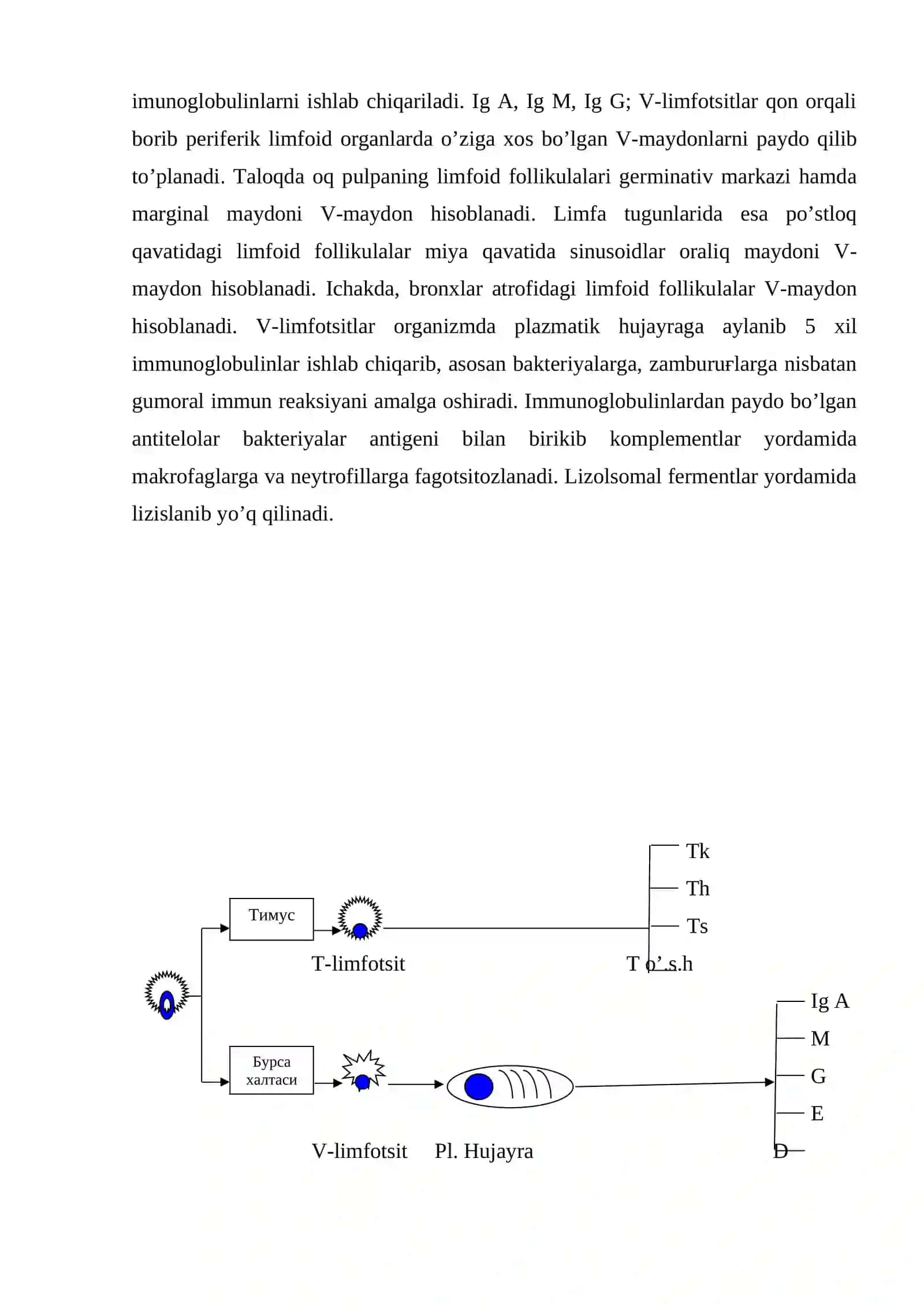 Immun tanqislik sindromlari. Amiloidoz 2