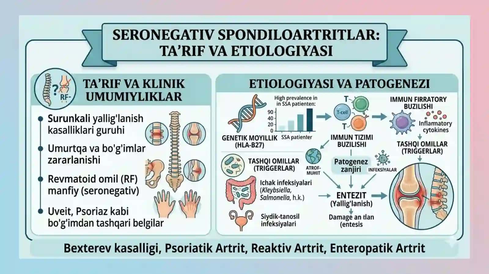 Seronegativ spondiloartritlar 2