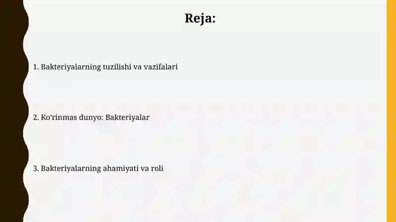Ko'rinmas olam - Bakteriyalar 2