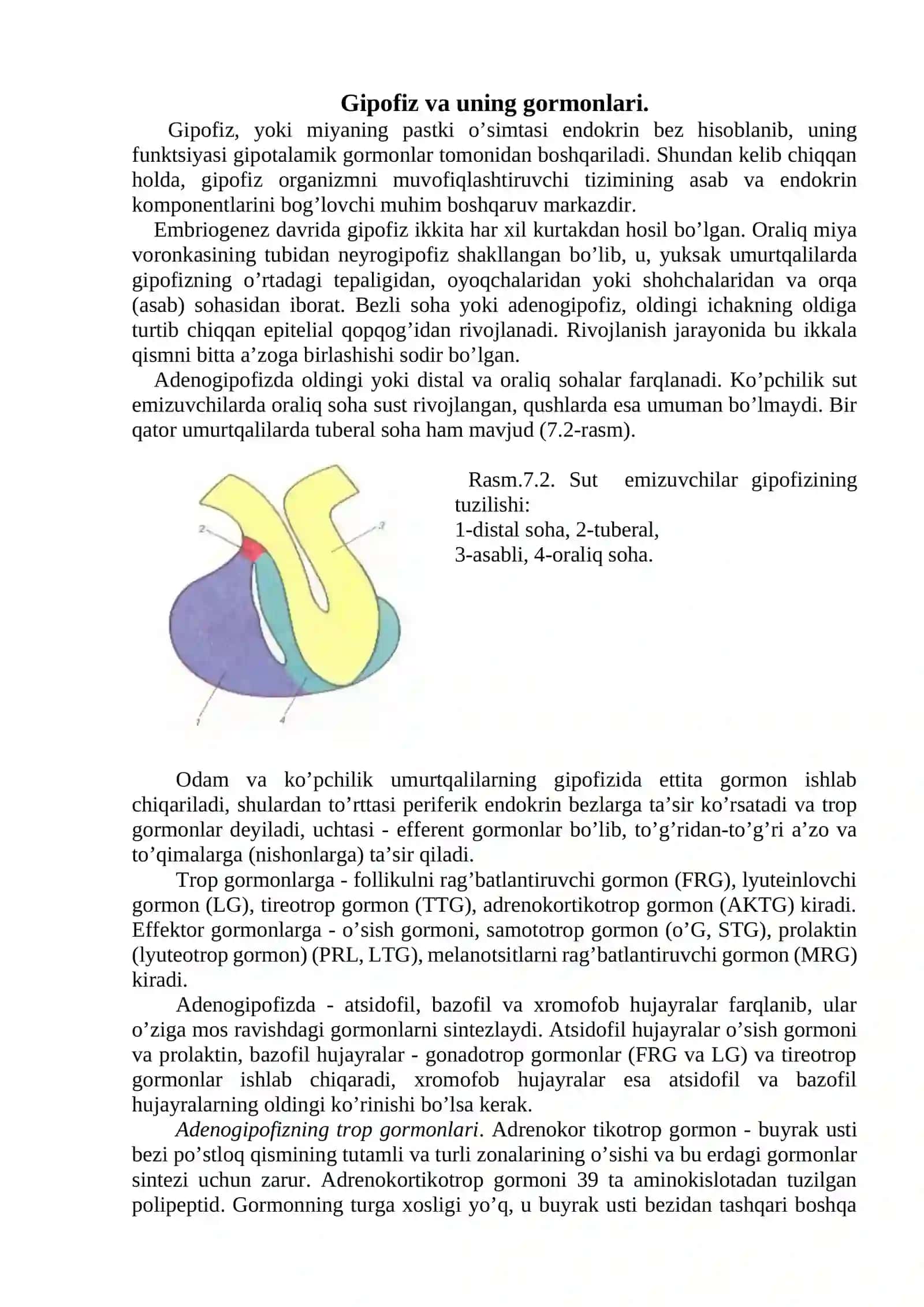 Endokrin tizim fiziologiyasi 2