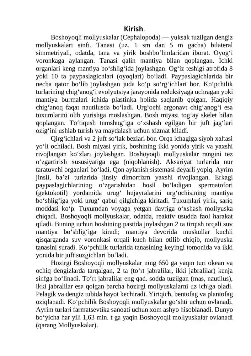 miomera sinifi - Boshoyoqli mollyuskalar (Cephalopoda) 2