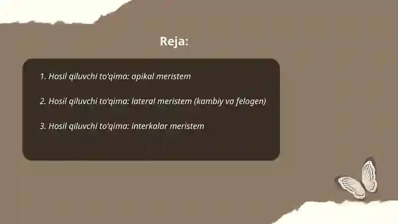 Oʻsimlik Tóqimalari 2
