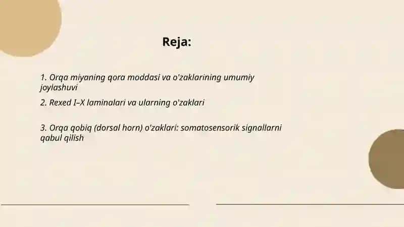 Orqa miya o'zaklarining joylashuvi va ularning ahamiyati 2