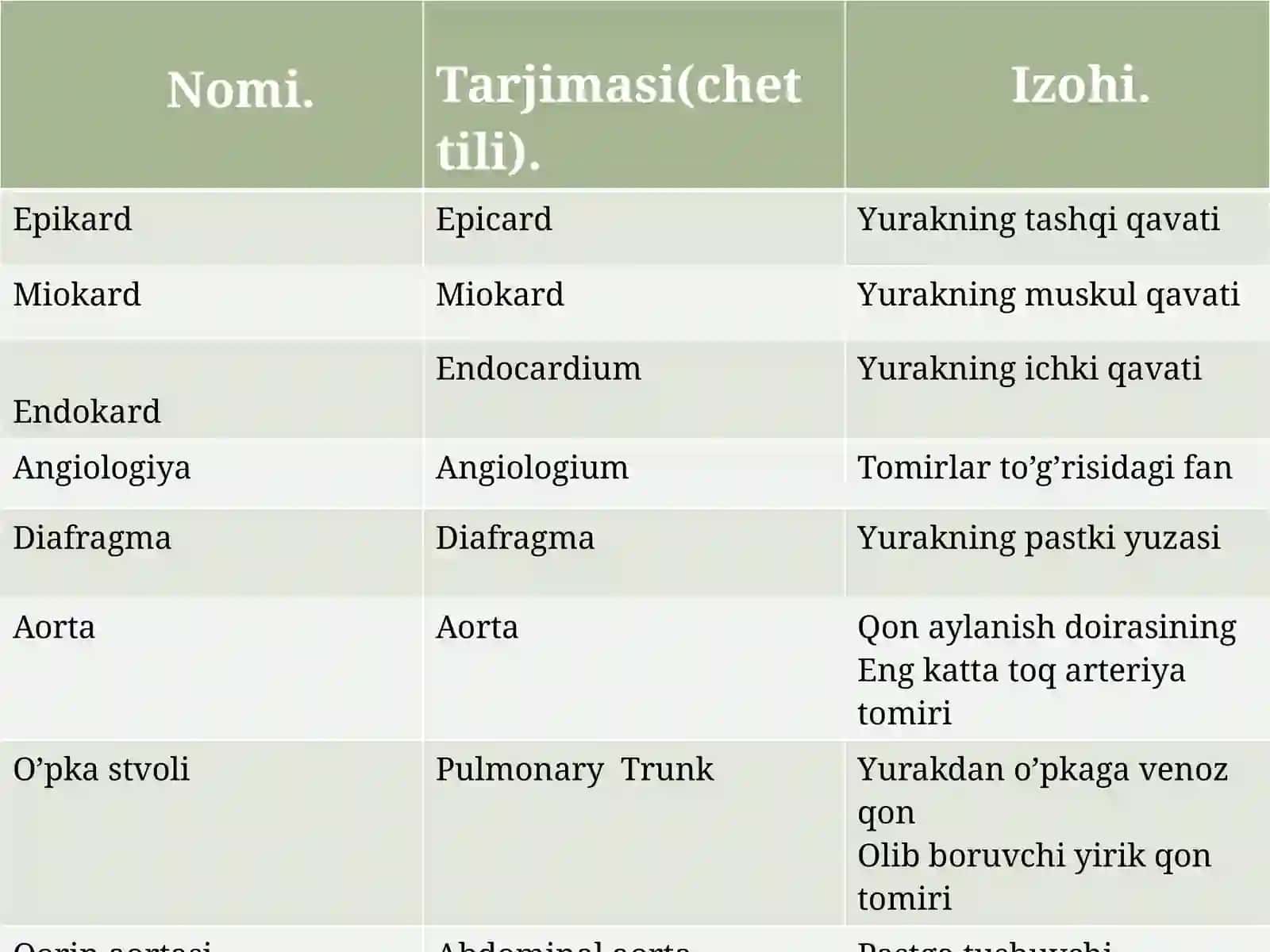 Epicard, Epicard, Yurakning tashqi qavati 2