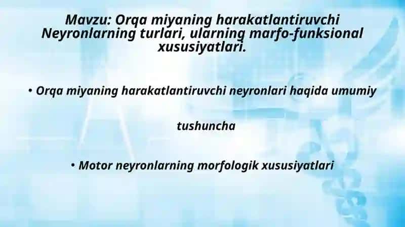 orqa miya harakatlantiruvchi neyronlarining turlari 2