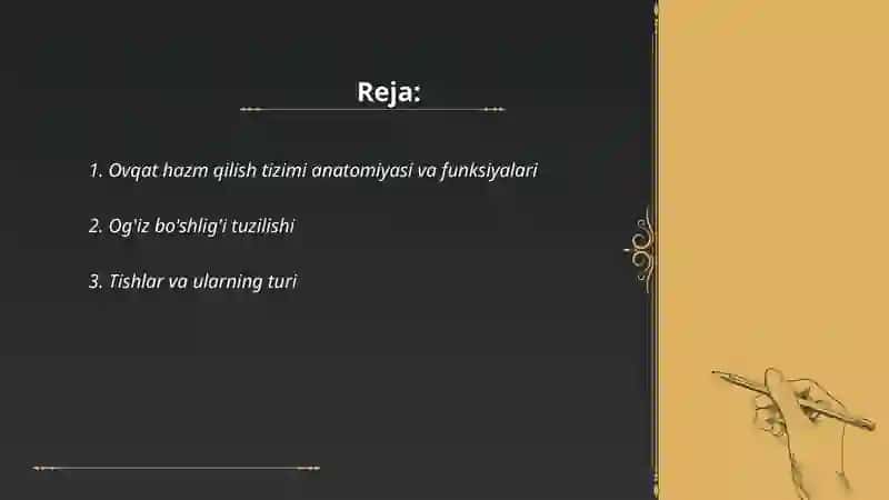 Ovqat hazm qilish tizimi 2