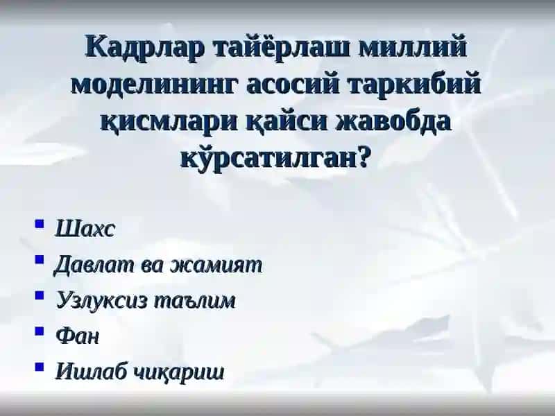 Кадрлар тайёрлаш миллиймодели 2