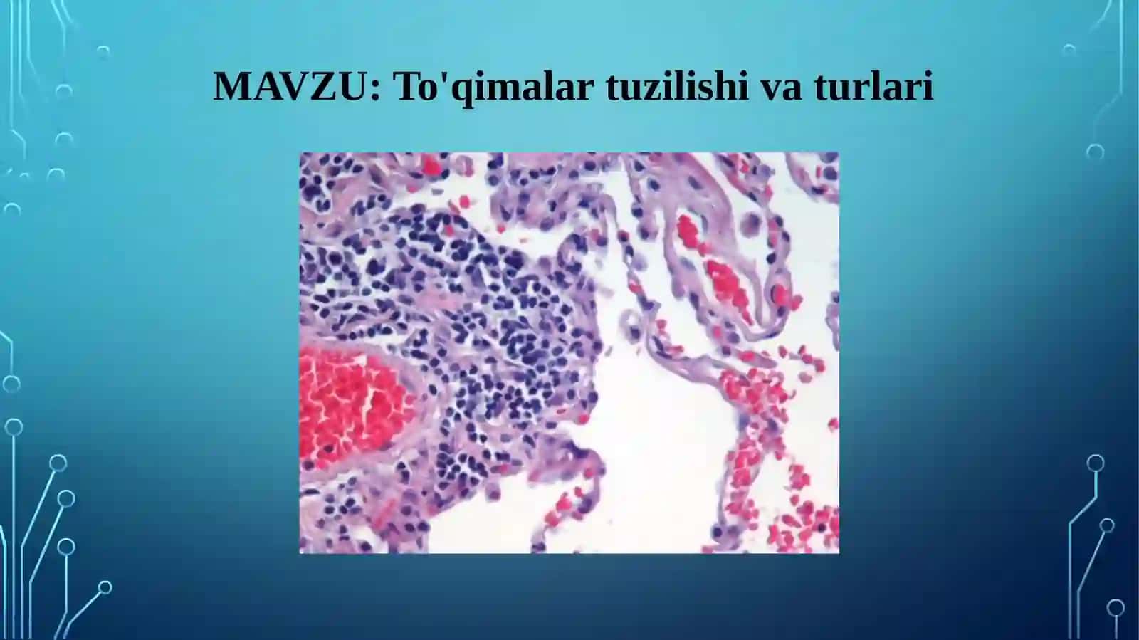 To'qimalar tuzilishi va turari 2