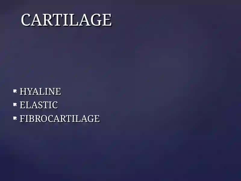 Types of Cartilage 2