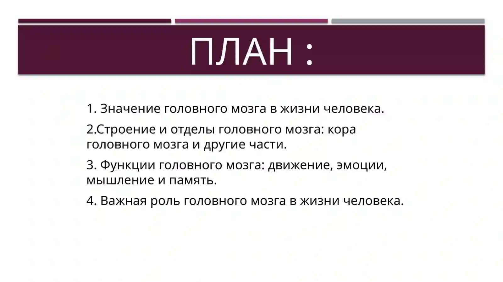 Головной мозг 2