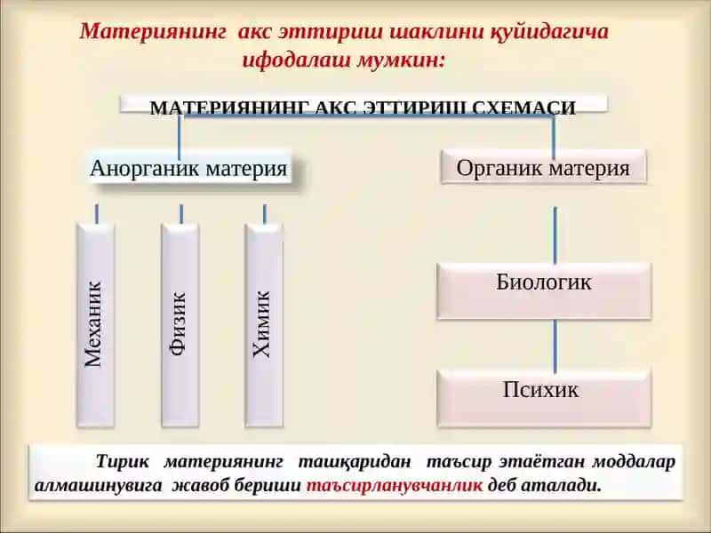 Психика ва онгнинг тараққиёти 2