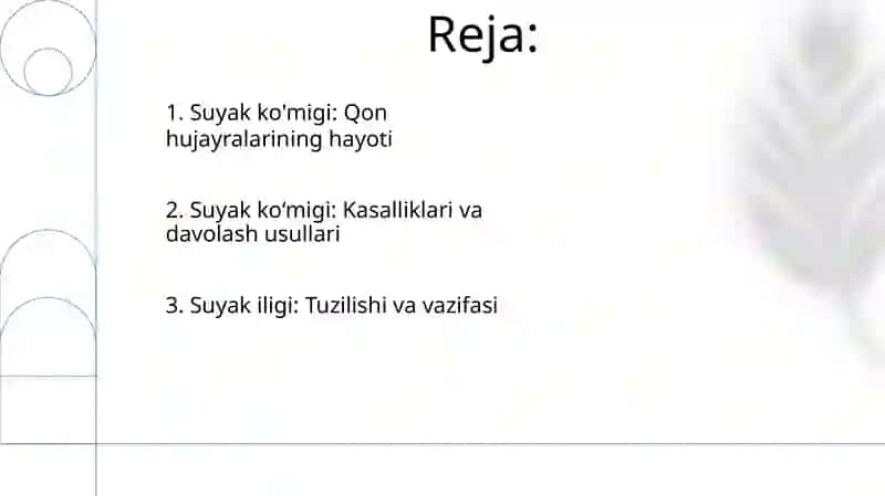 Bosh suyagi 2