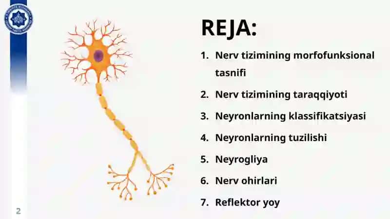 NERV TO‘QIMASI 2