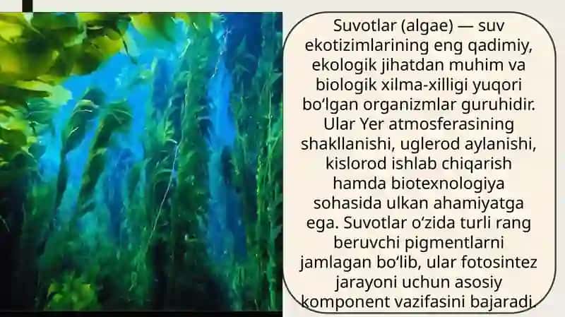 Suvotlar biomassasidagi pigmentni aniqlash 2