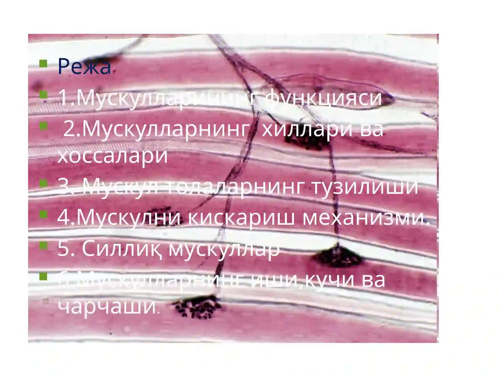 Муcкулар физиологияси 2