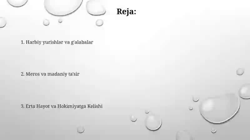 Jaloliddin Manguberdi Vatan Himoyachisi 2