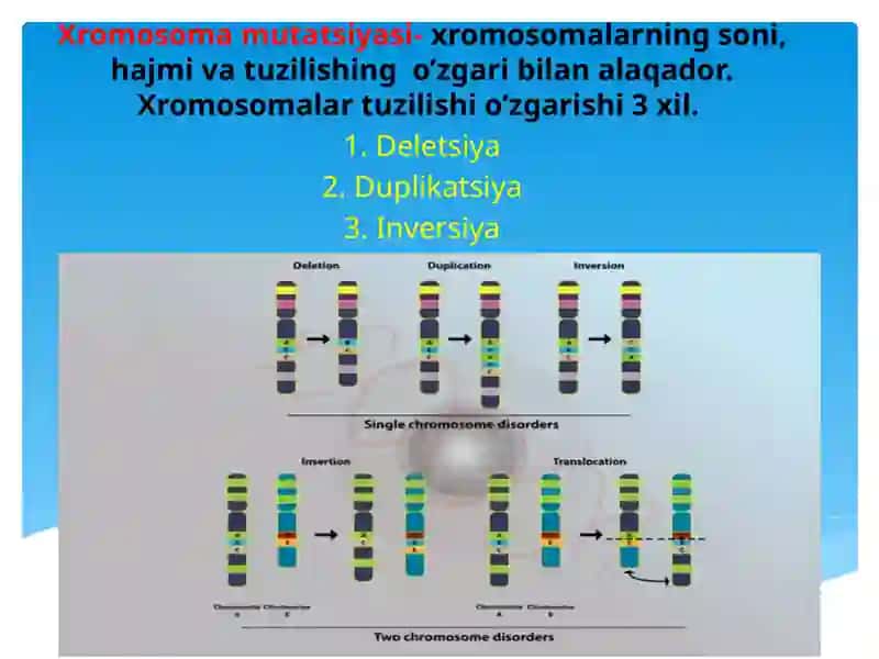 XROMOSOMAKASALLIKLARI 2