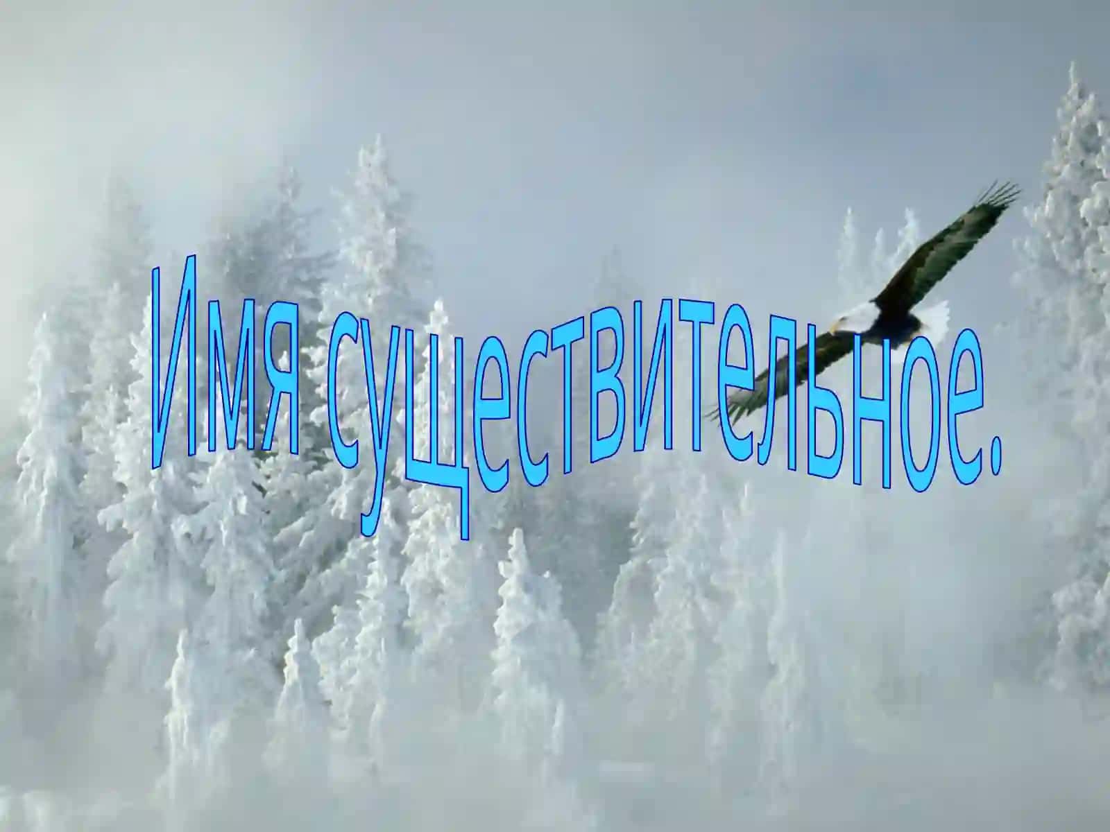 Имя существительное 2