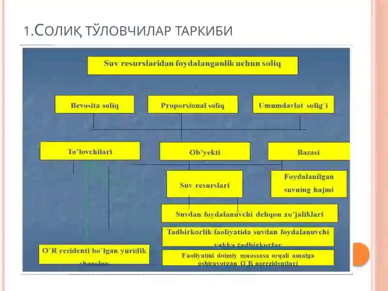 Солиқ тўловчилар таркиби 2