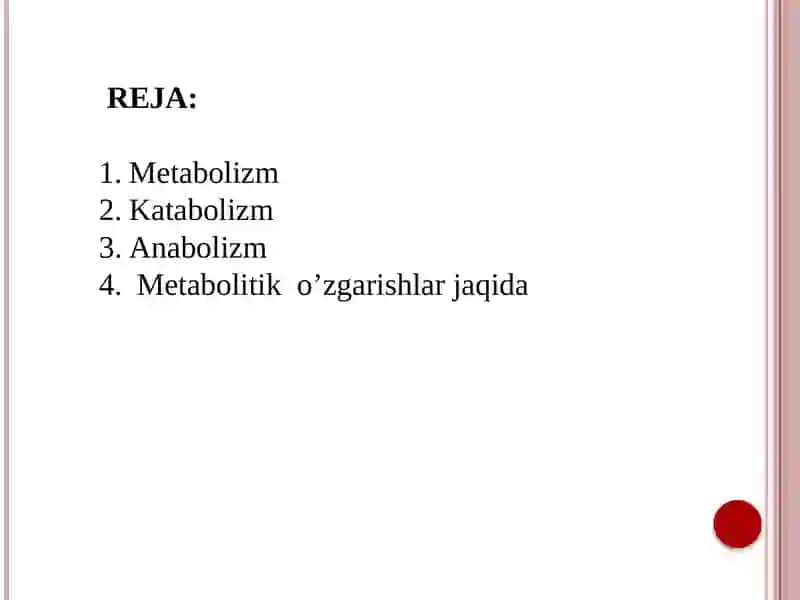 Metabolizm 2