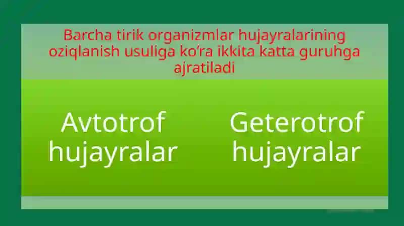 Hujayraning oziqlanishi. 2