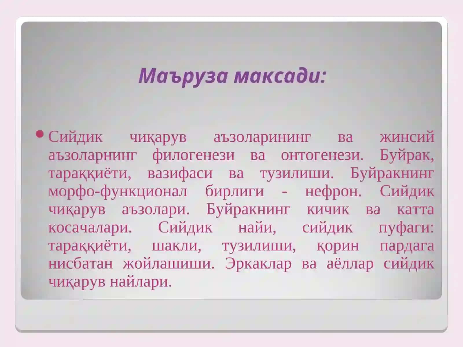 Siydik chiqaruv a'zolarining funksional anatomiyasi 2