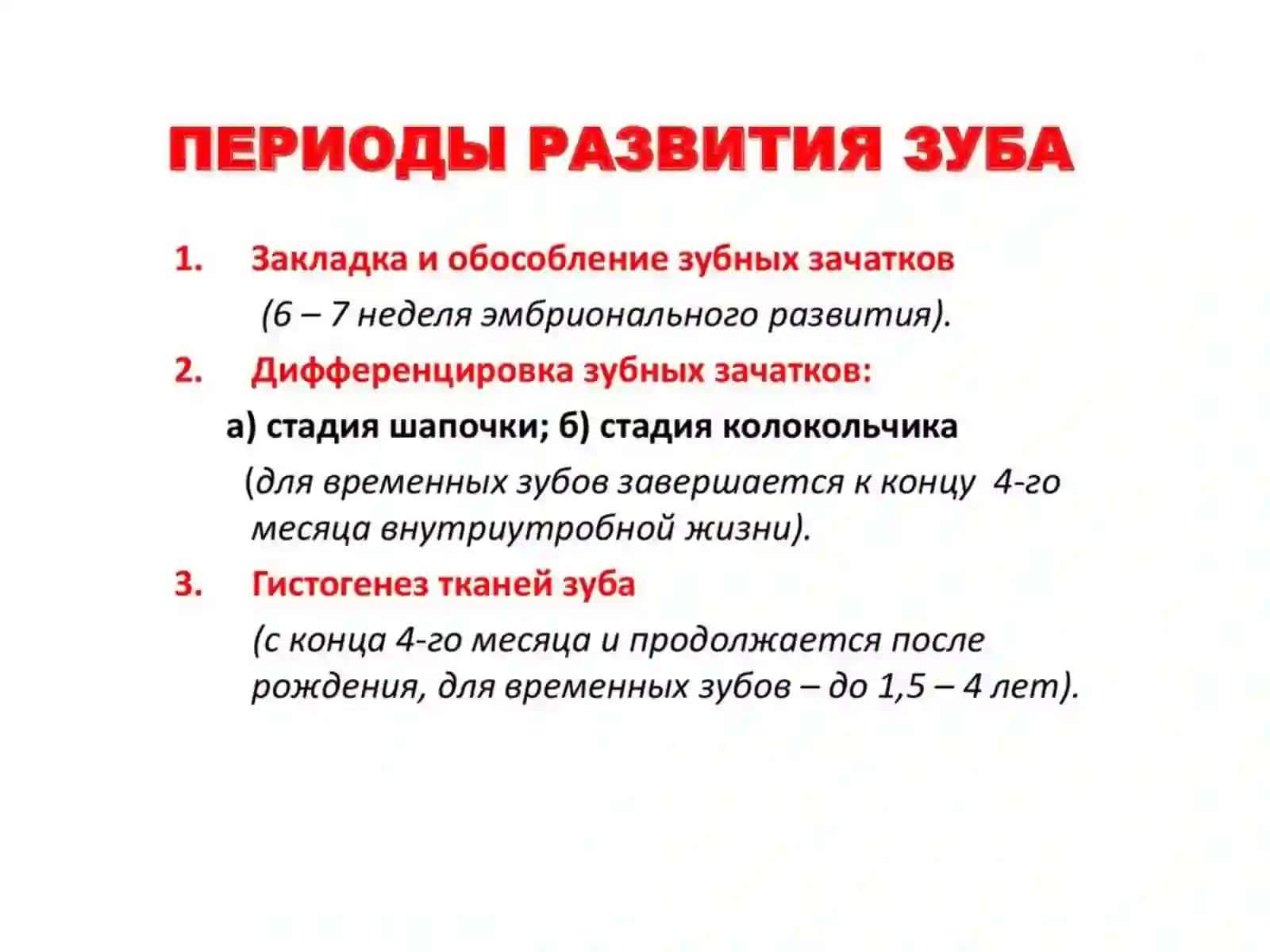 Общая анатомия зубов 2