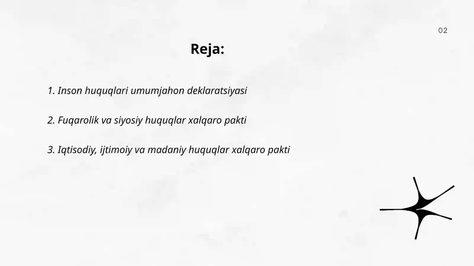 Inson huquqlari haqida xalqaro bill 2