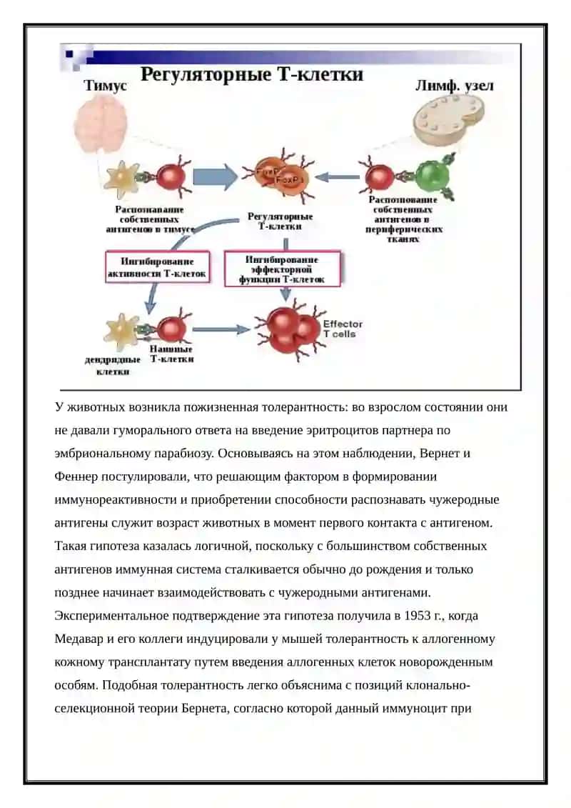 НЕДОСТАТОЧНОСТИ ИММУНОЛОГИЧЕСКОЙ ТОЛЕРАНТНОСТИ АУТОИММУННЫЕ ЗАБОЛЕВАНИЯ 2