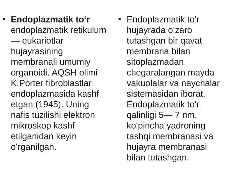 ENDOPLAZMATIK TO‘R VA UNING TURLARI 2