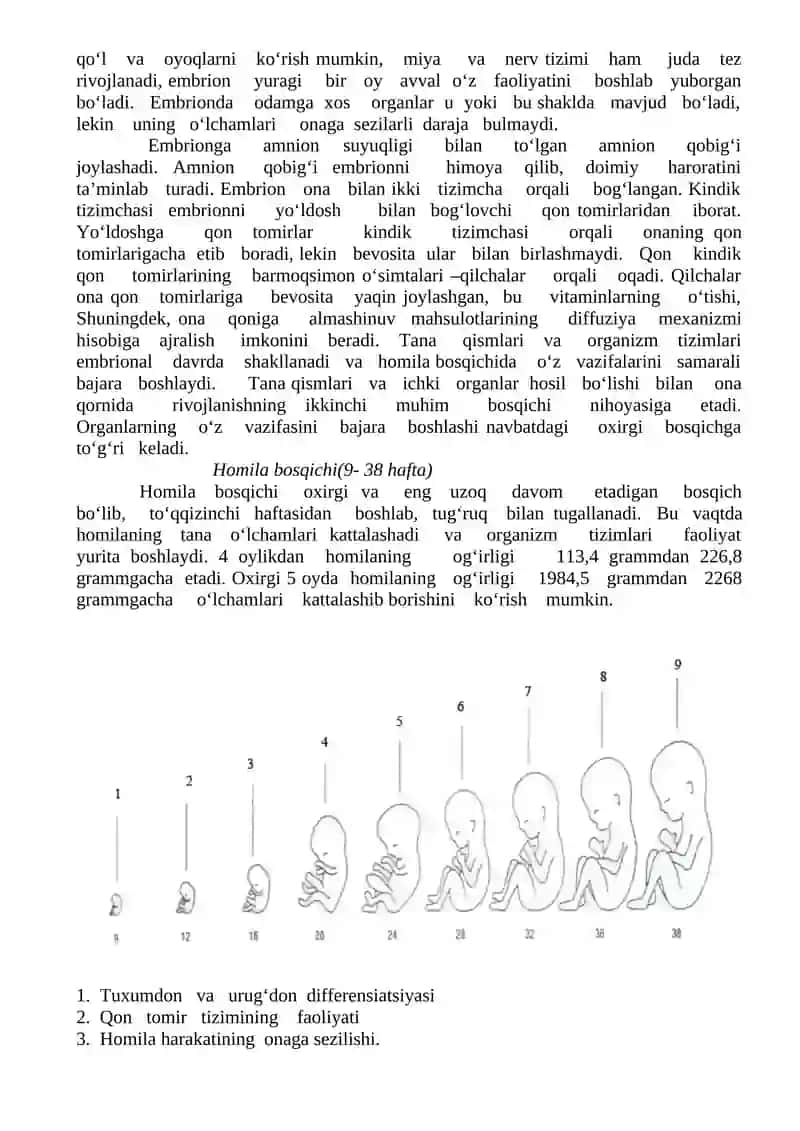Prenatal va chaqaloqlik davridagi psixofiziologik xususiyatlar 2