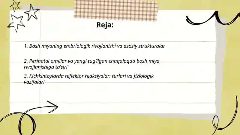 Bosh miyaning rivojlanishi va asosiy strukturalar 2
