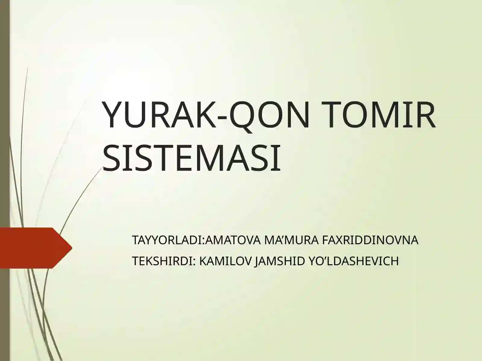 YURAK-QON TOMIR SISTEMASI 2