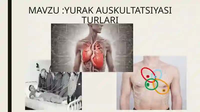 Yurak auskultatsiyasi 2