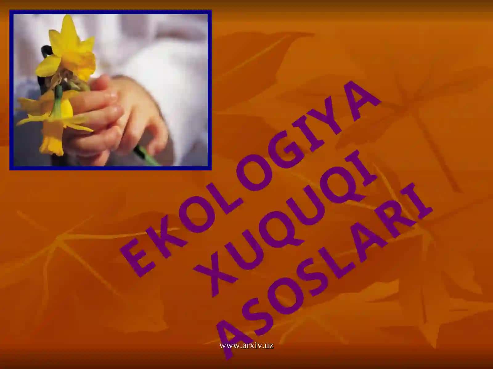 EKOLOGIYA HUQUQI ASOSLARI 2