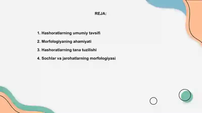 Hashoratlarning morfologiyasi 2